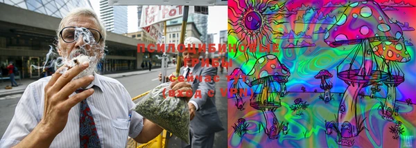 бошки Алзамай