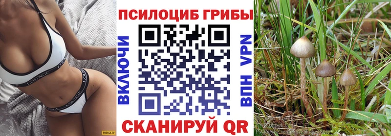 Псилоцибиновые грибы Psilocybine cubensis  закладки  Орехово-Зуево 